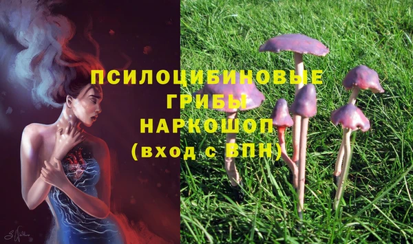 марихуана Нефтекумск