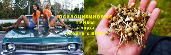гидропоника Нея