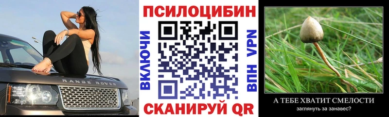 MEGA как войти  Покровск  Псилоцибиновые грибы ЛСД  купить закладку 